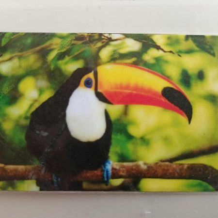 Tucan Плая-дель-Кармен Экстерьер фото